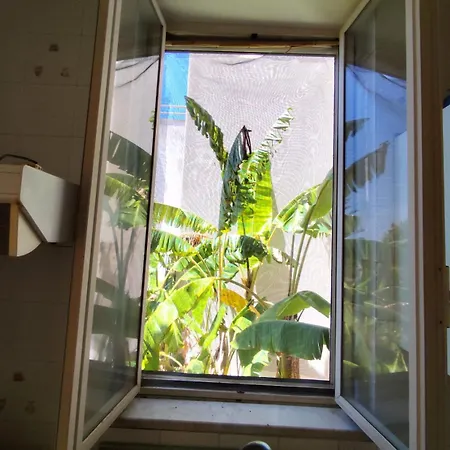 Casa Pesce Appartamento Barano dʼIschia